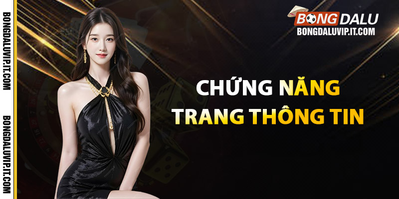 Chứng năng chính của trang thông tin Bongdalu vip