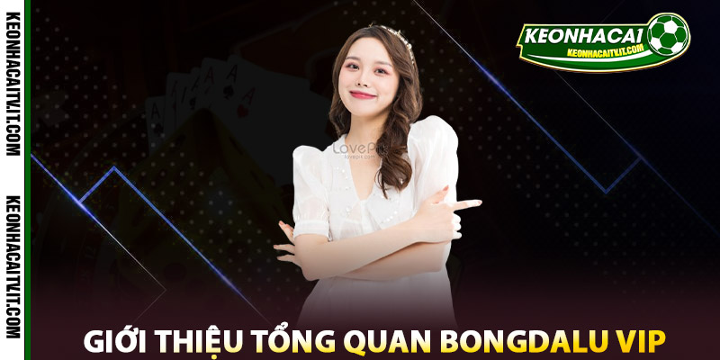 Giới thiệu tổng quan Bongdalu Vip