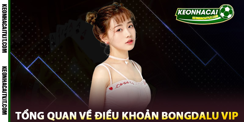 Tổng Quan về điều Khoản Bongdalu Vip
